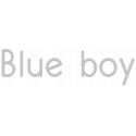 Blue Boy